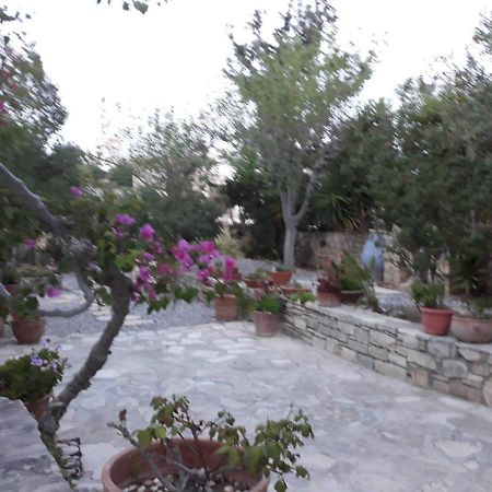 Aloni Apartment Kamilari Bagian luar foto