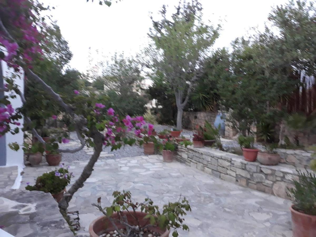 Aloni Apartment Kamilari Bagian luar foto